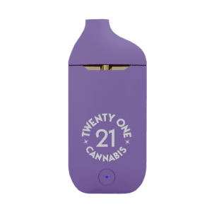 Purple Punch 4ml Disposable Vape