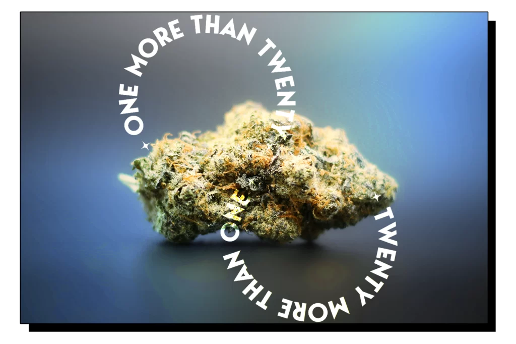 Pineapple Express Sativa Strain Review - Supporting Image