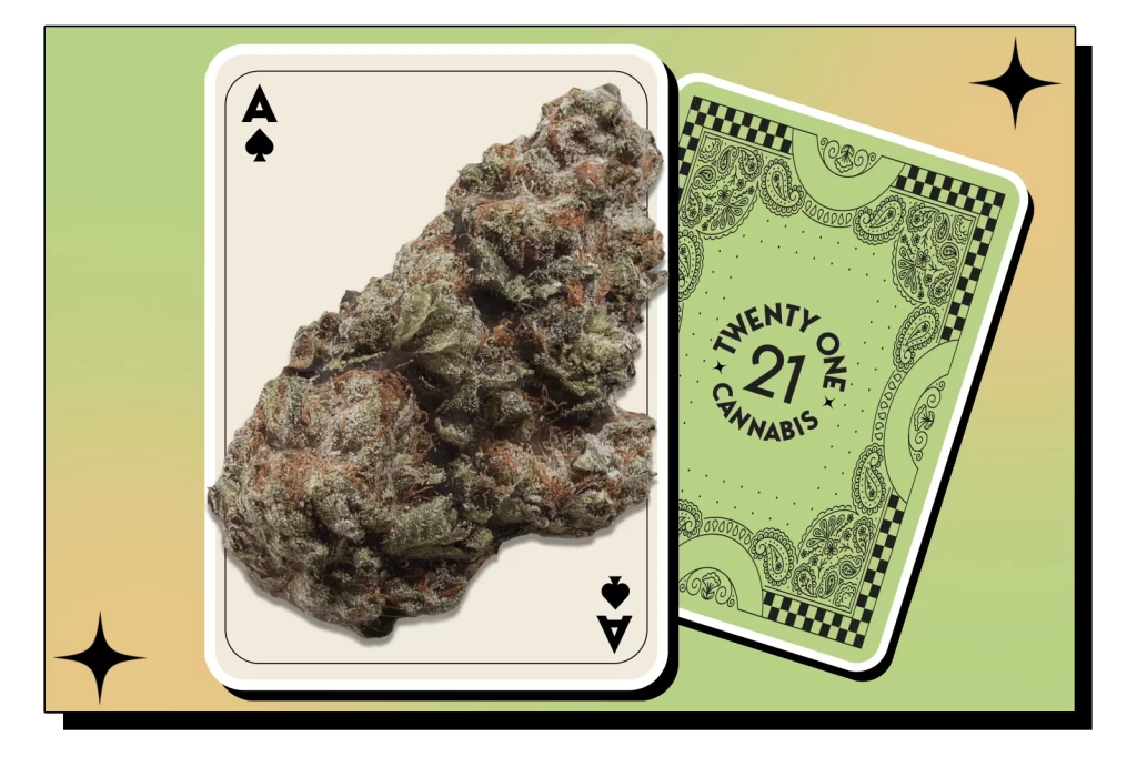 A picture of a cannabis strain set on one side of a playing card