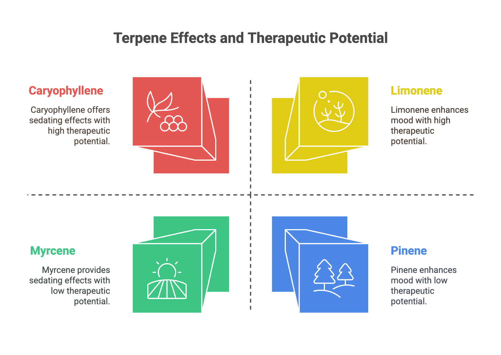 Terpene Effect and Therapeutic Potential