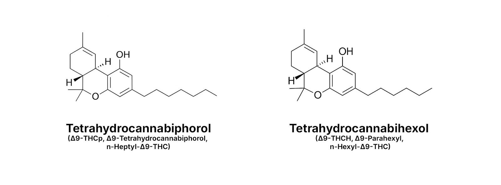 A side-by-side comparison of the molecular differences between THCp and THCh