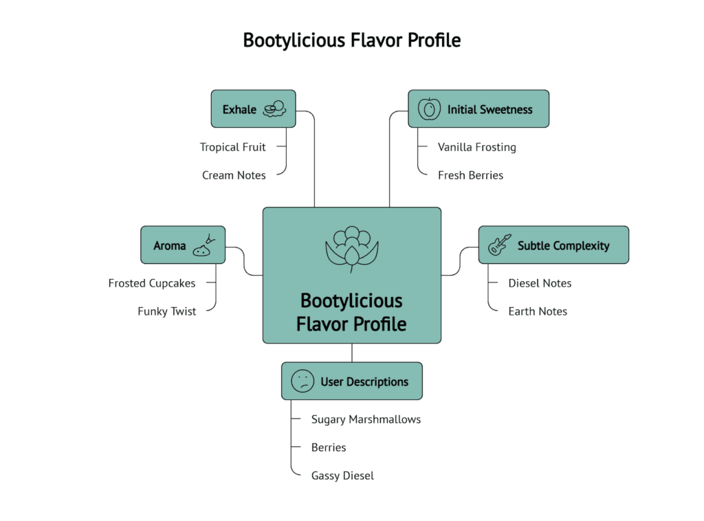 A visual summarizing Bootylicious' Flavor Profile