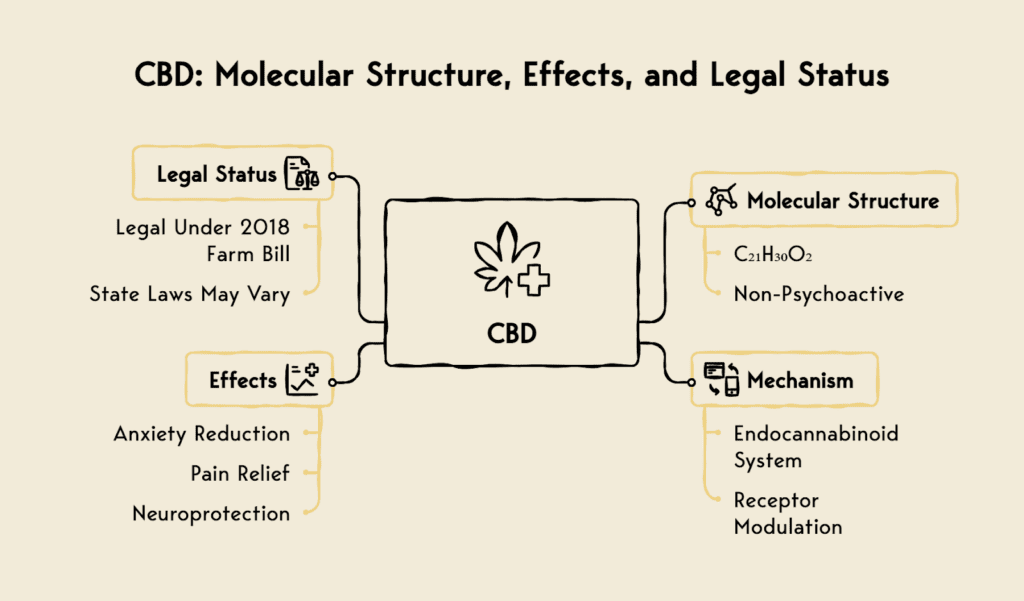 A visual summarizing CBD's Molecular structure, effects, and more