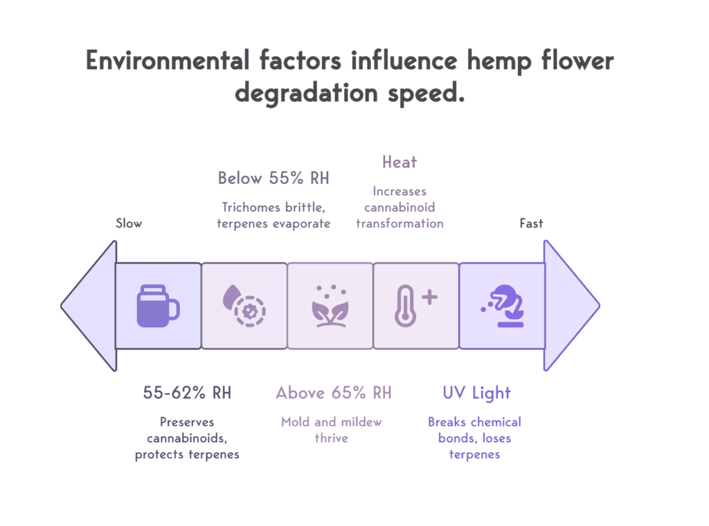 Visual on environmental factors that increase degradation speed