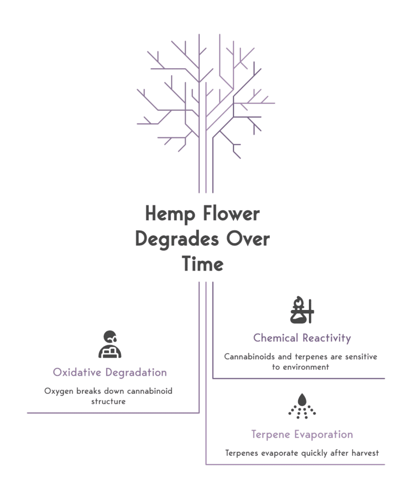 Visual on how Hemp degrades overtime