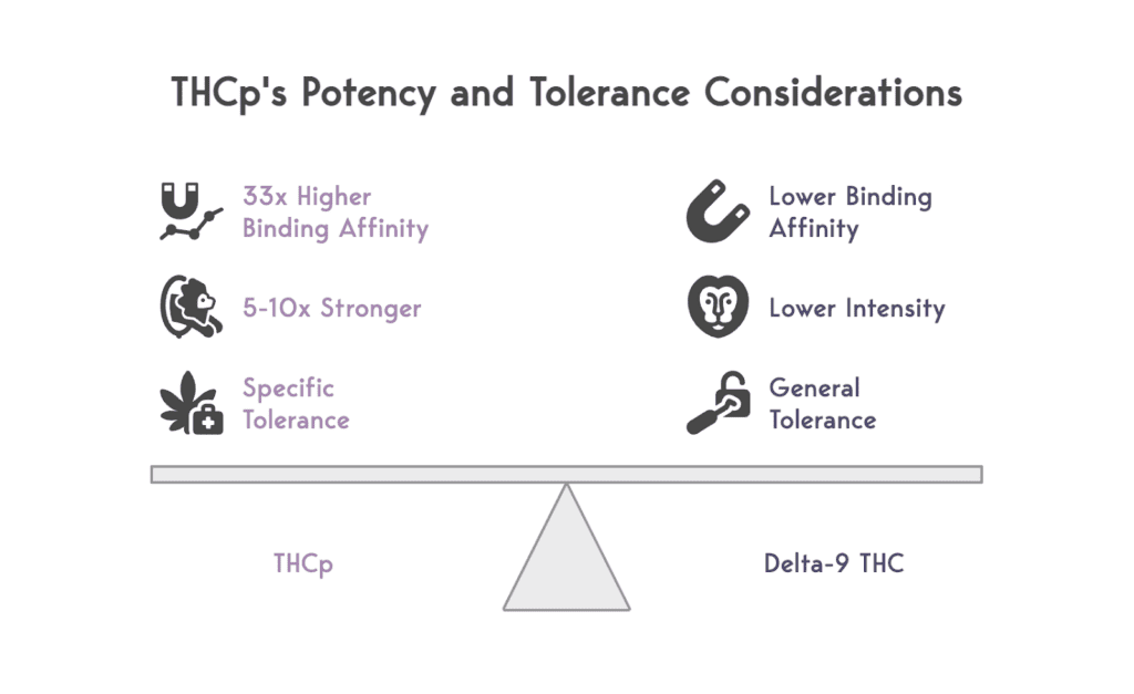 Visual on THCp's potency and tolerance considerations